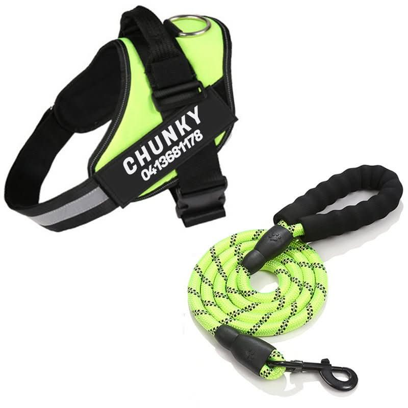 BowLift | DOGSAFE HARNESS – Safety dog harness with name tag &amp; reflectors