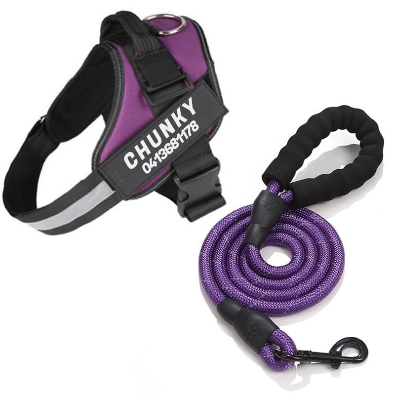 BowLift | DOGSAFE HARNESS – Safety dog harness with name tag &amp; reflectors