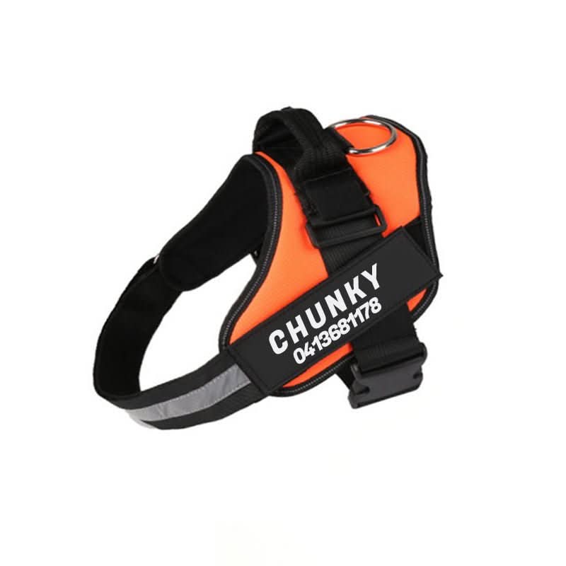 BowLift | Safety Dog Harness with Name Tag &amp; Reflectors