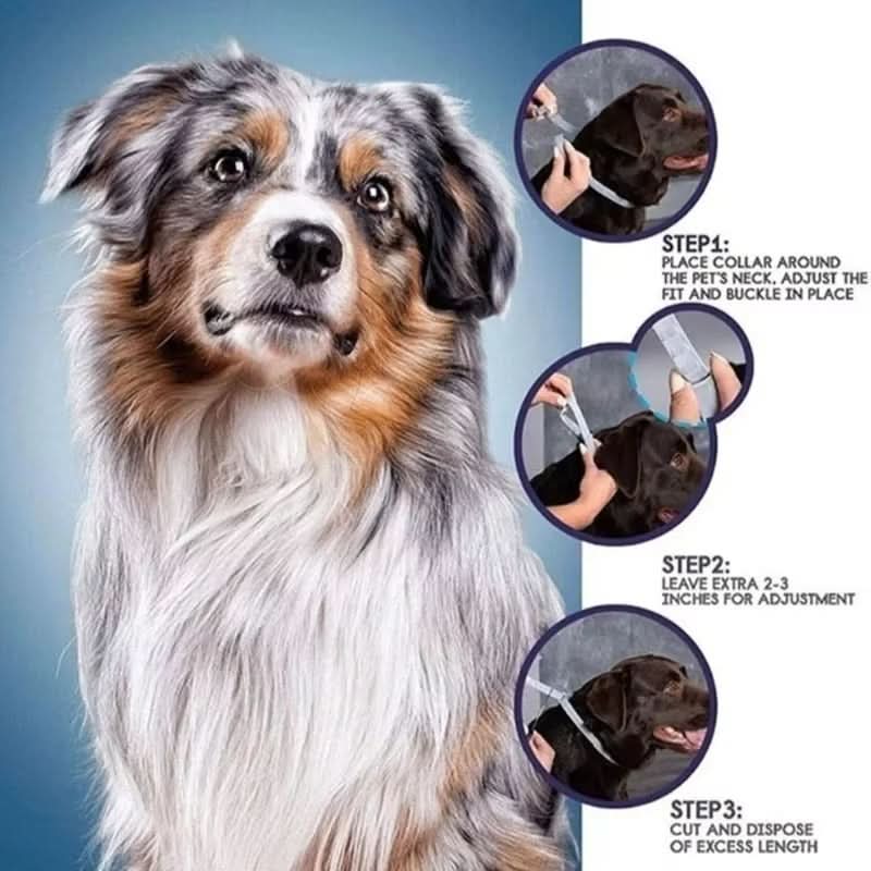 BowLift | PAWTECT - Anti-tick and flea collar
