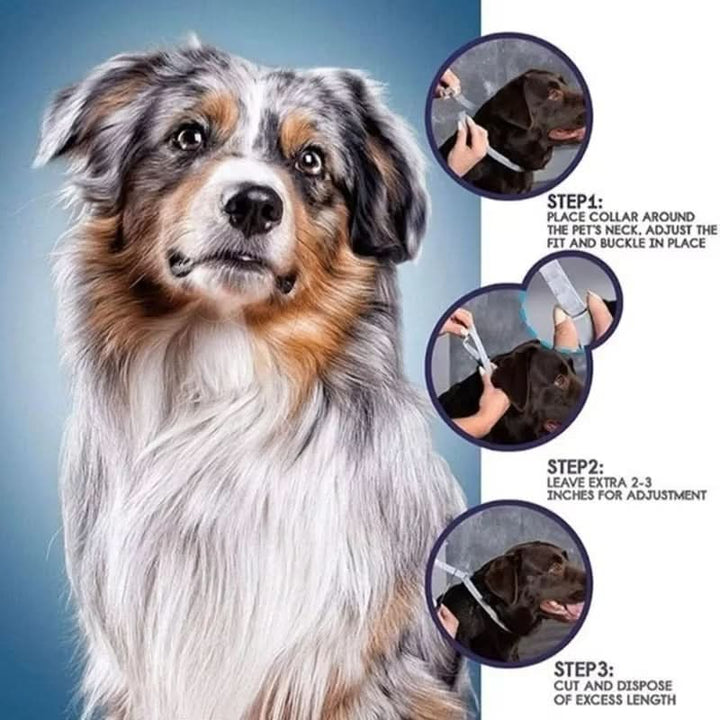 BowLift | PAWTECT - Anti-tick and flea collar