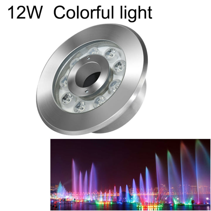12W Landscape colour Changing Ring LED Stainless Steel Underwater Spotlight (colourful)