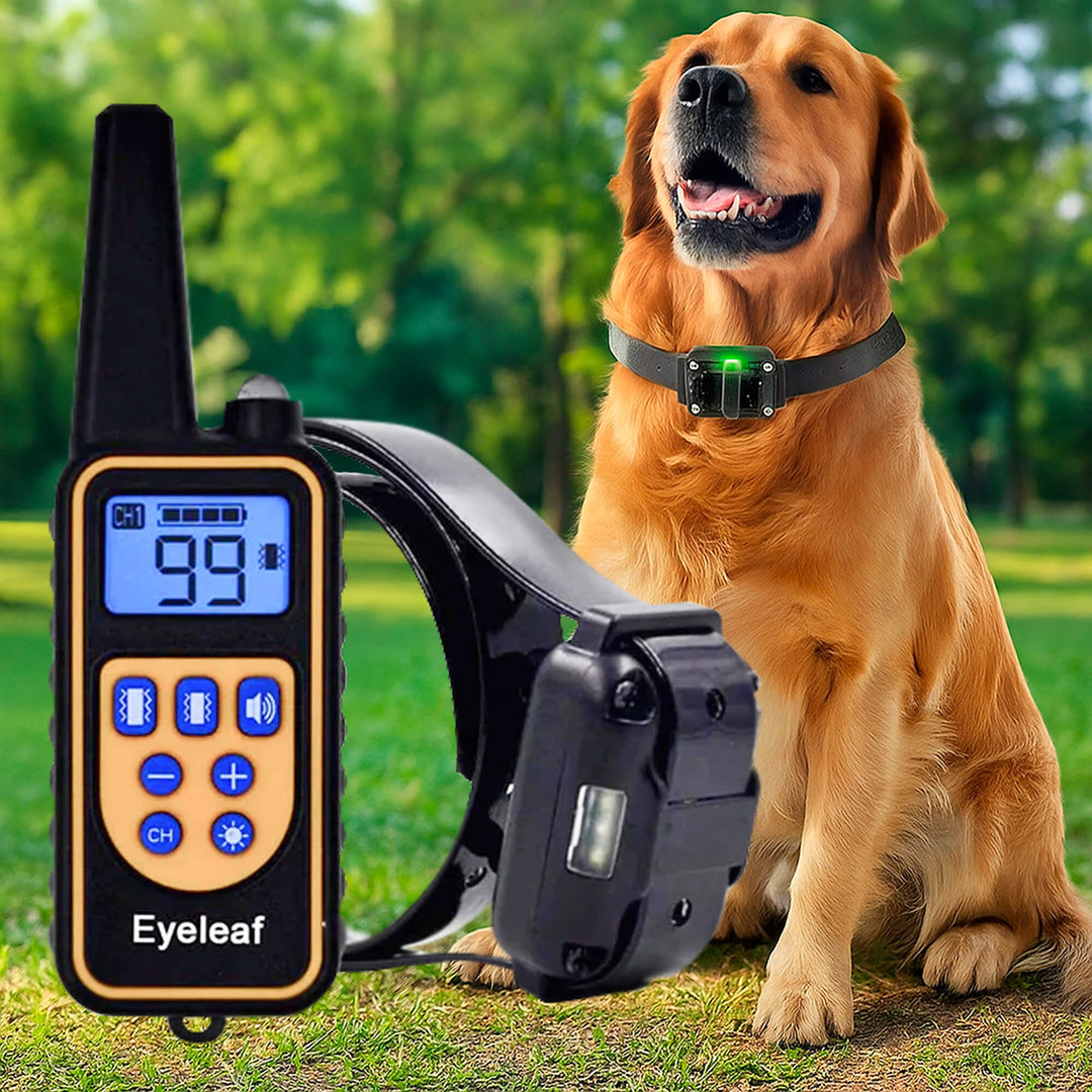 BowLift | 800M Rechargeable Electric Dog Training Collar | Waterproof, Remote Control &amp; Ideal for Effective Dog Training