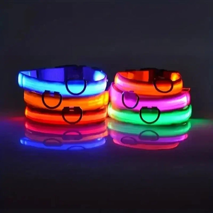 BowLift | LED Safety Dog Collar with Adjustable Fit