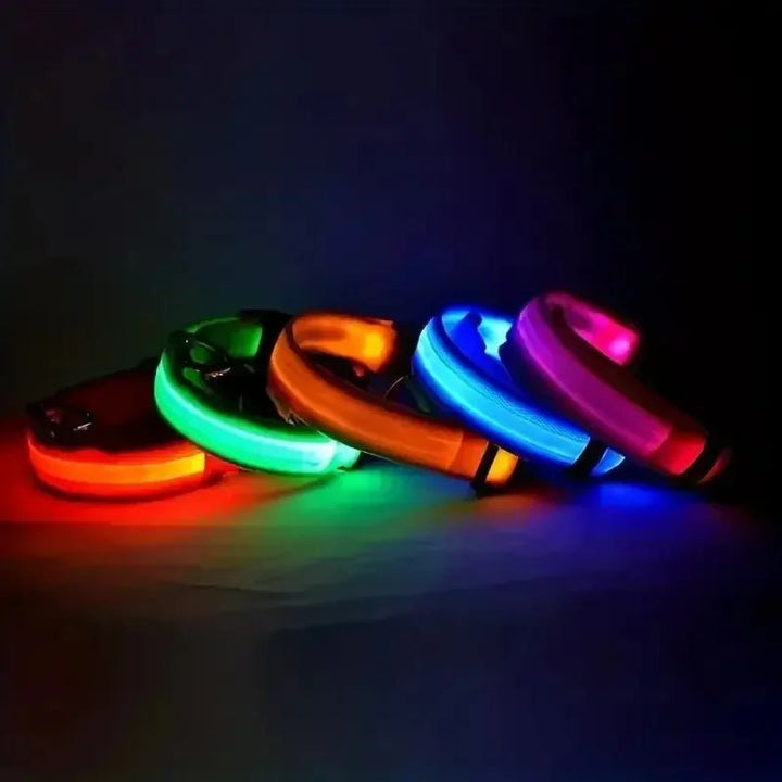 BowLift | LED Safety Dog Collar with Adjustable Fit