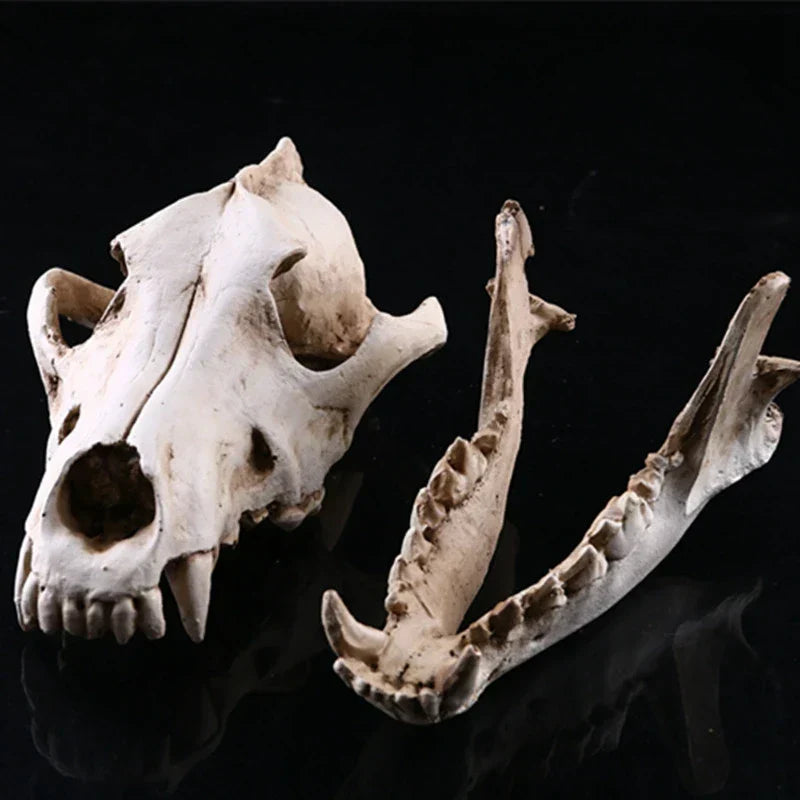 BowLift | Wolf Skull Sculpture Model