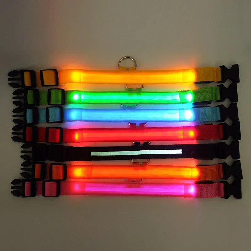 BowLift | GlowPets LED Collar – Safety &amp; Visibility for Pets