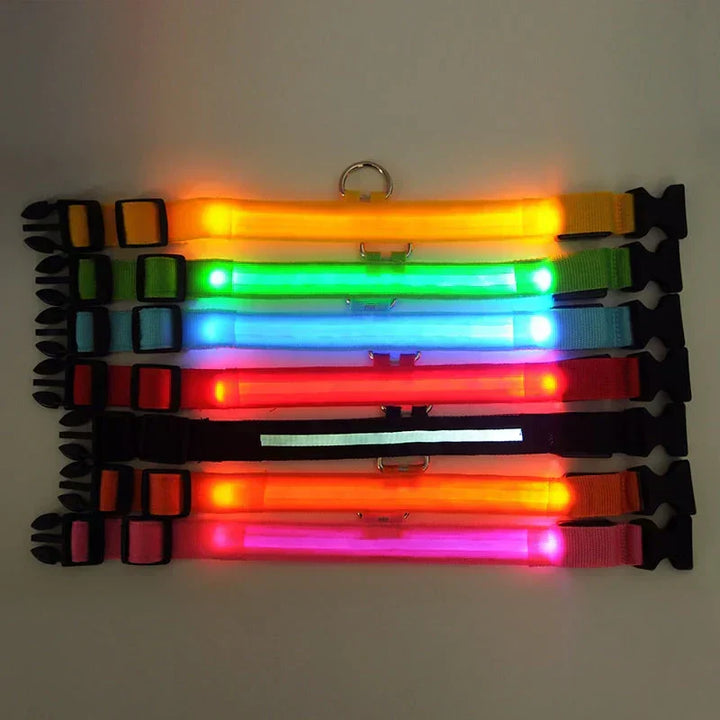 BowLift | GlowPets LED Collar – Safety &amp; Visibility for Pets