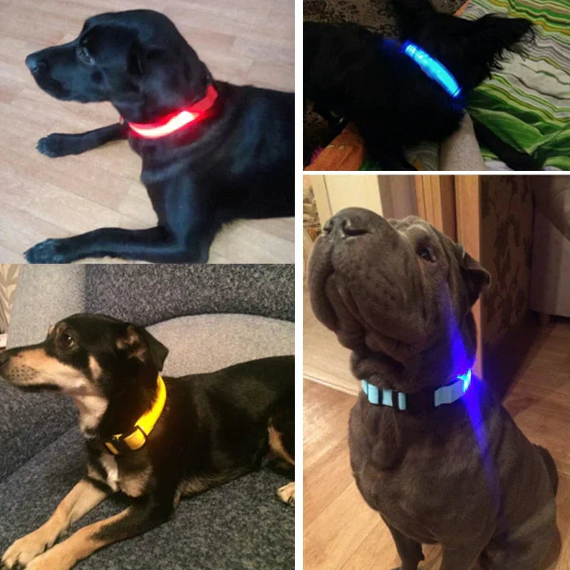 BowLift | GlowPets LED Collar – Safety &amp; Visibility for Pets
