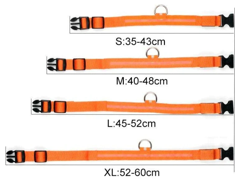BowLift | GlowPets LED Collar – Safety &amp; Visibility for Pets