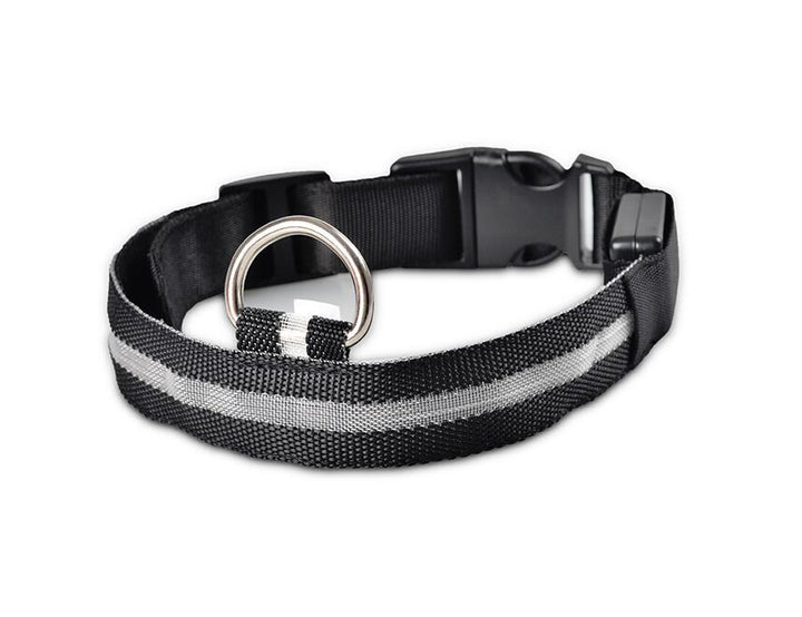 BowLift | GlowPets LED Collar – Safety &amp; Visibility for Pets