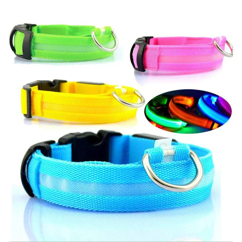 BowLift | GlowPets LED Collar – Safety &amp; Visibility for Pets