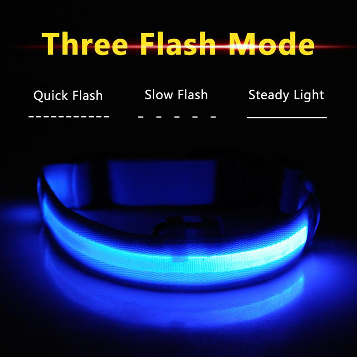 BowLift | Light Up Dog Collar - Flashing Dog Collar