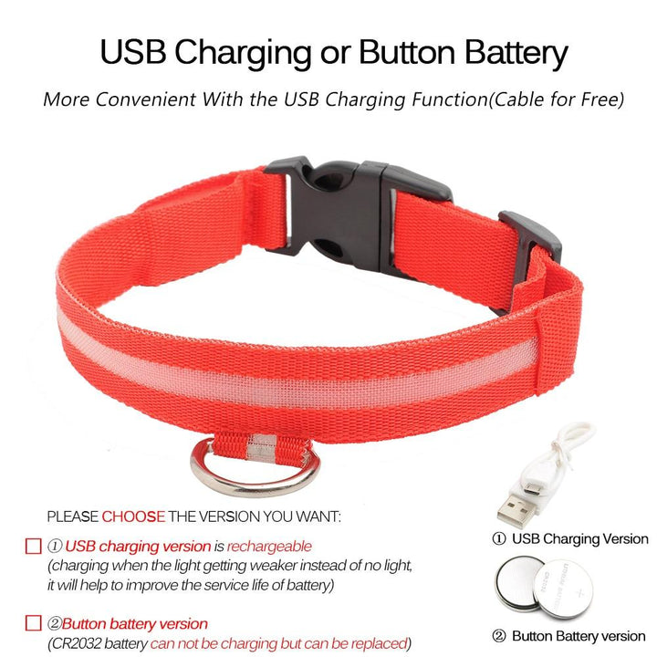 BowLift | Light Up Dog Collar - Flashing Dog Collar