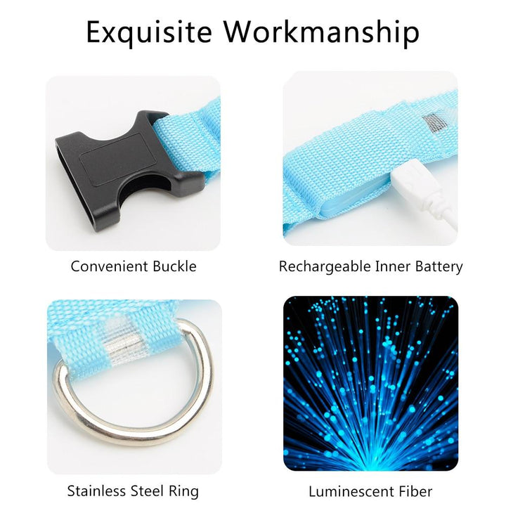 BowLift | Light Up Dog Collar - Flashing Dog Collar
