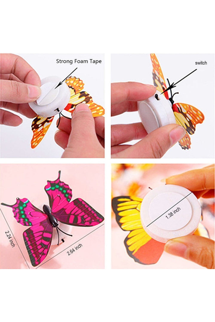 Butterfly night light |