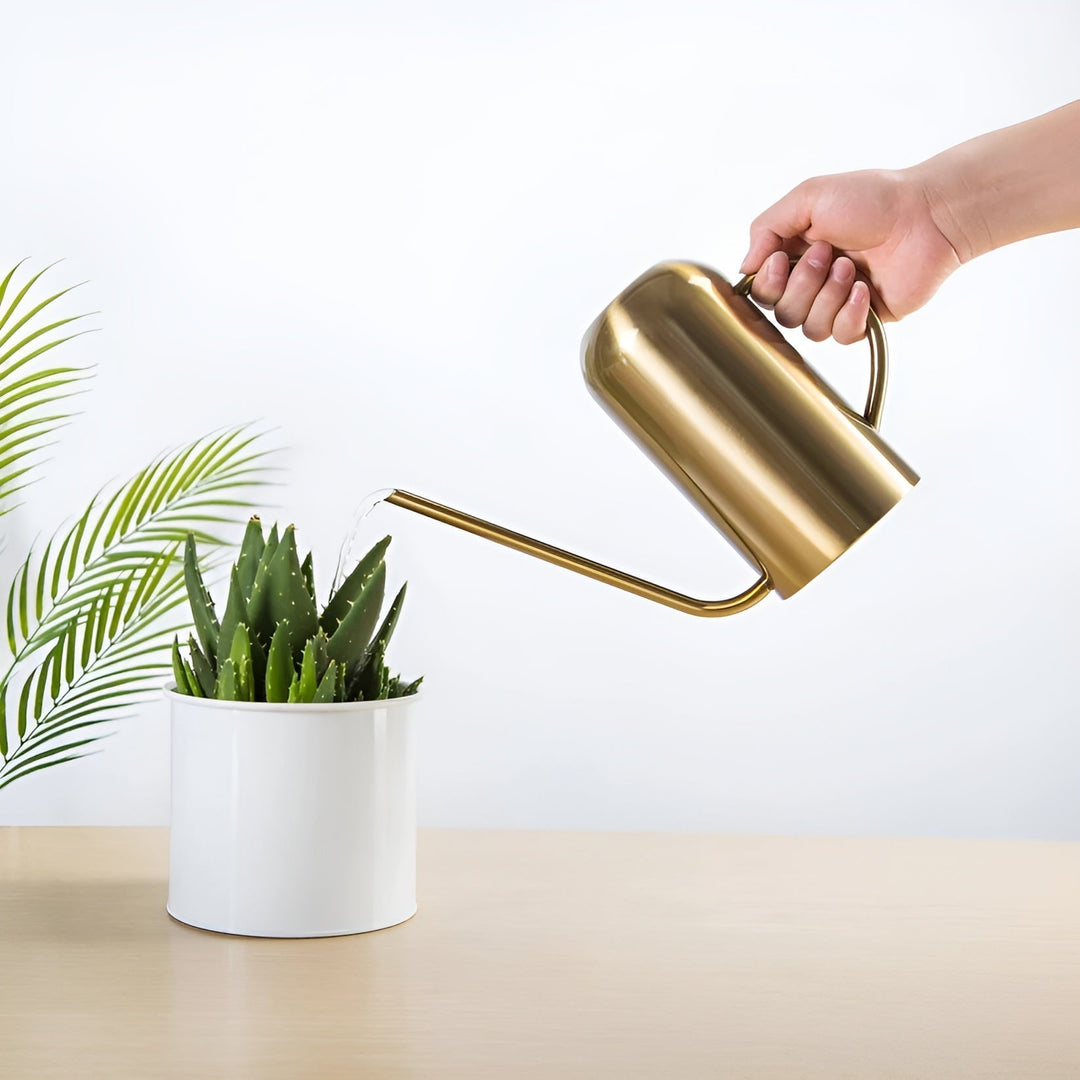 BowLift | Stainless Steel Pourer - 1.5L Long Watering Can for Plants and Flowers