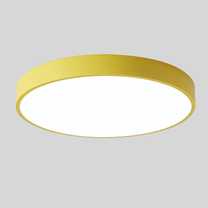 Wood Macaroon Circular Ceiling Light
