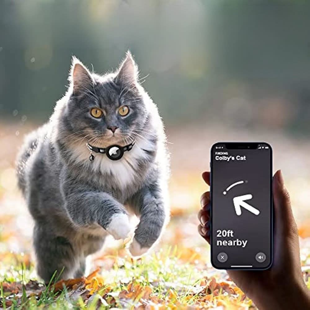 BowLift | GPS Collar for Cats with Reflective Design