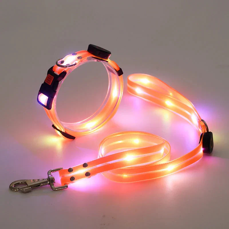 LED Dog Collar with Leash – NightBright Bowlift