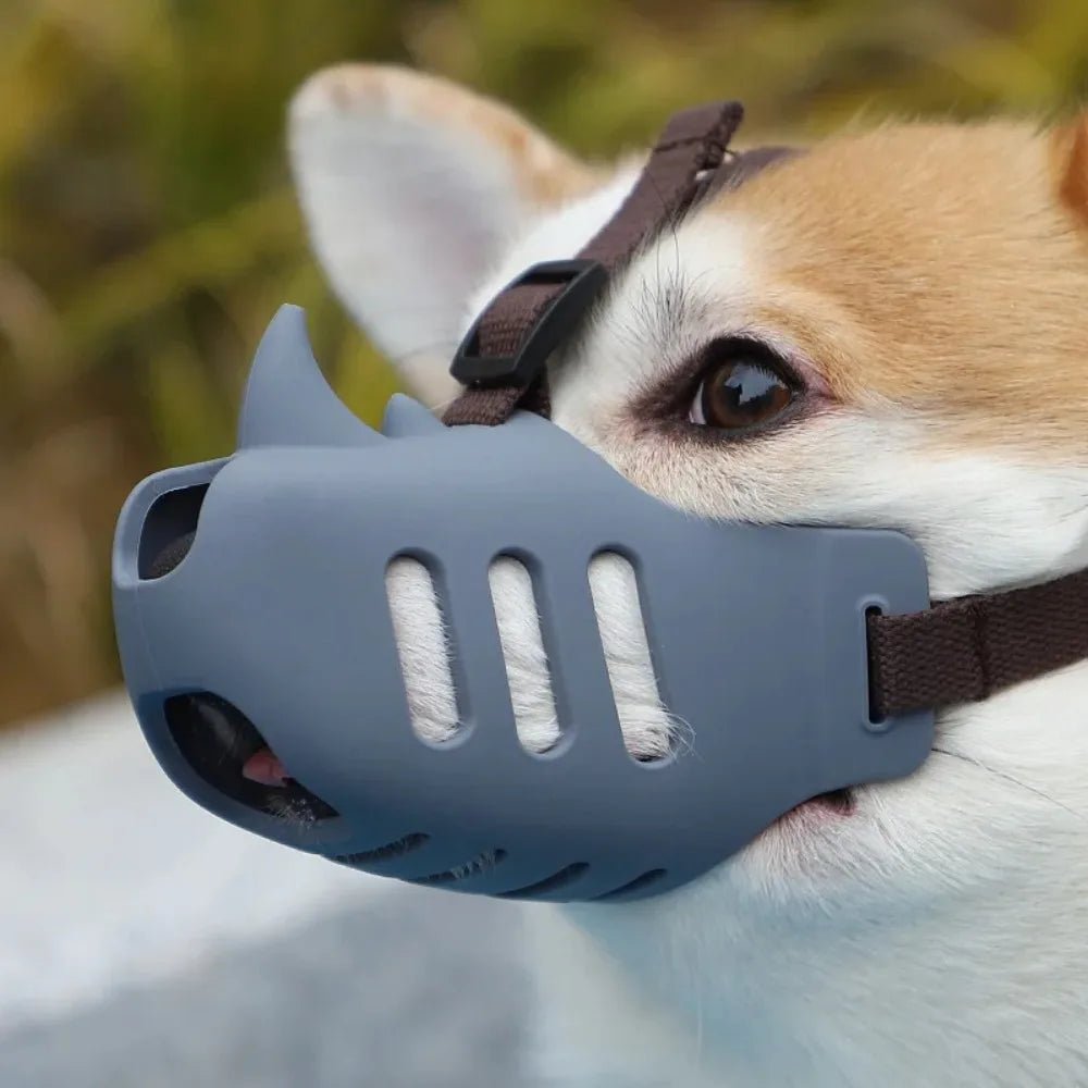 BowLift | Adjustable &amp; Breathable Muzzle for Daily Comfort