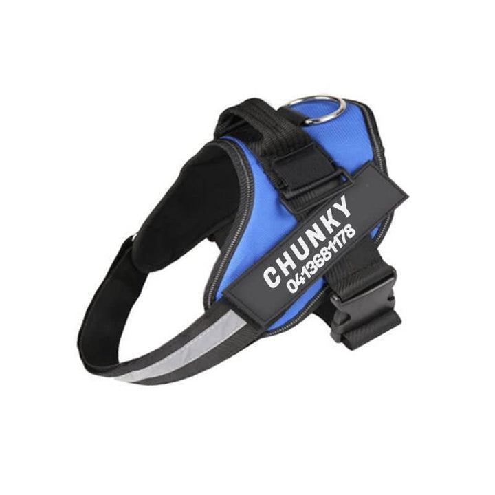 BowLift | Personalisable dog harness for comfort &amp; safety