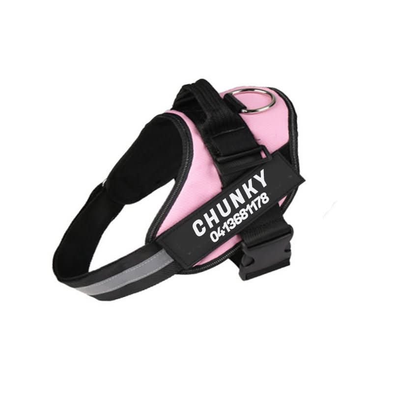 BowLift | Personalisable dog harness for comfort &amp; safety