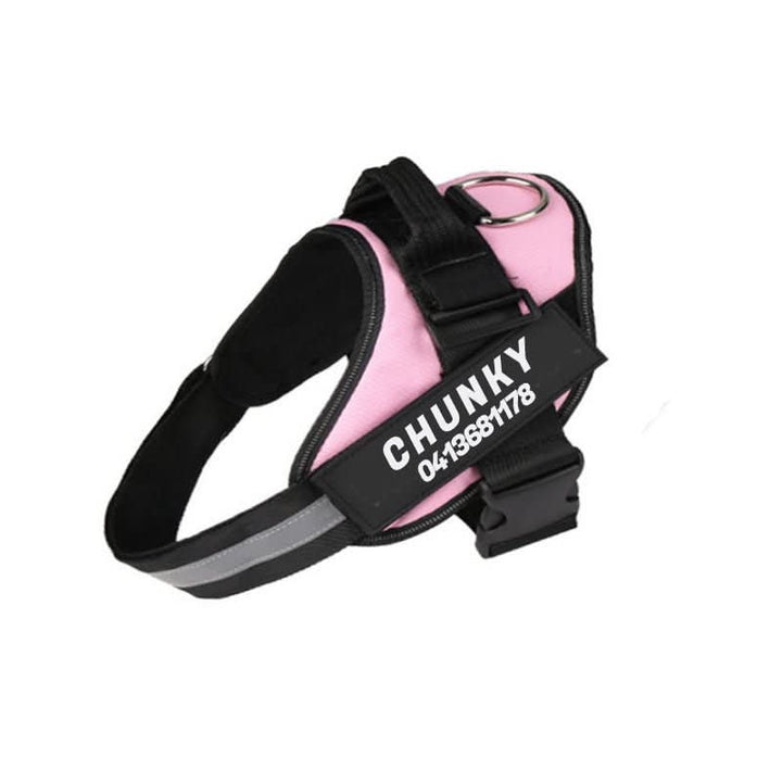 BowLift | Personalisable dog harness for comfort &amp; safety