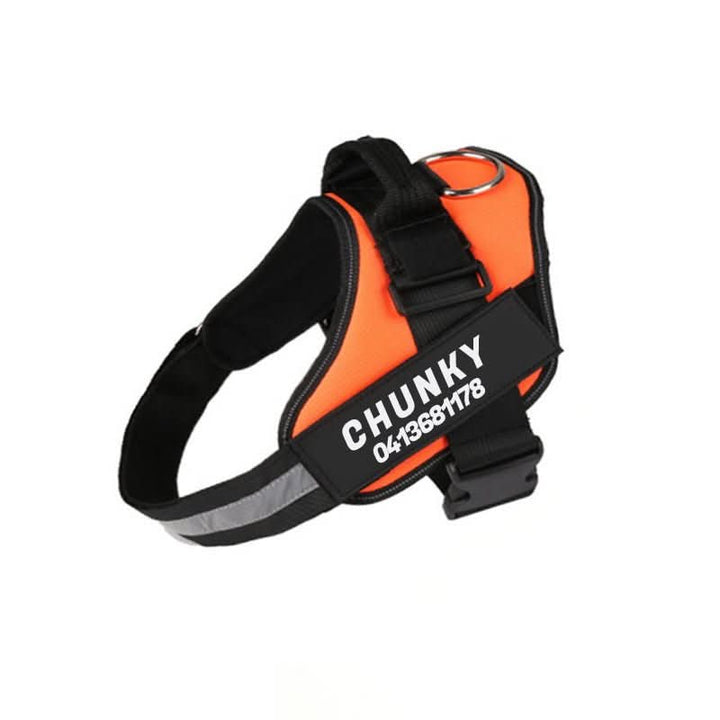 BowLift | Personalisable dog harness for comfort &amp; safety