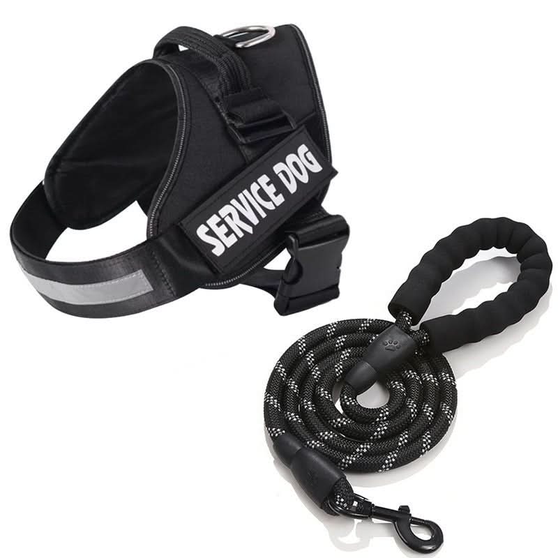 BowLift | Personalisable dog harness for comfort &amp; safety
