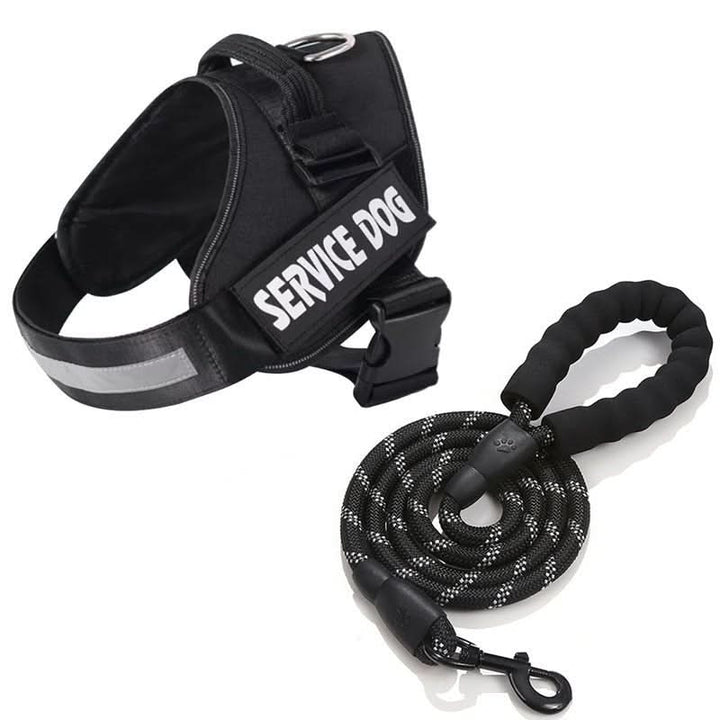 BowLift | Personalisable dog harness for comfort &amp; safety