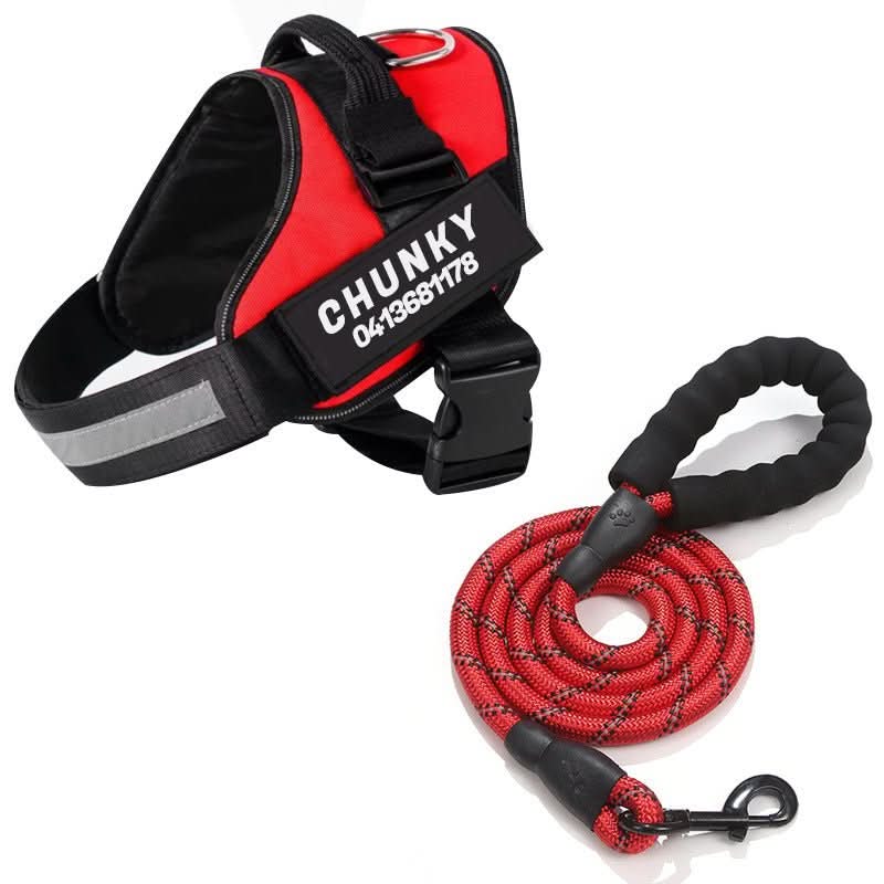 BowLift | Personalisable dog harness for comfort &amp; safety