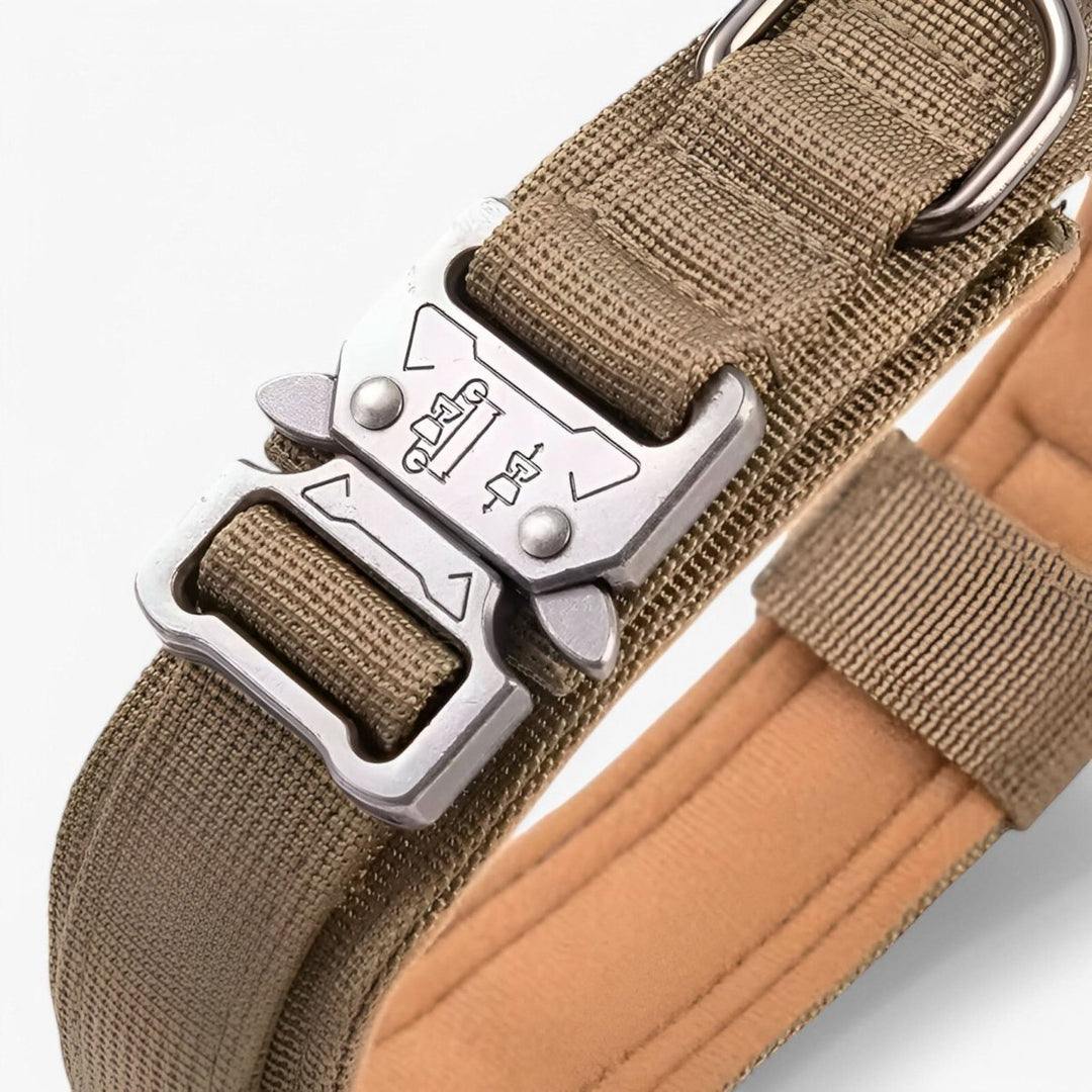 BowLift | Durable &amp; Adjustable Collar for Training &amp; Everyday Use