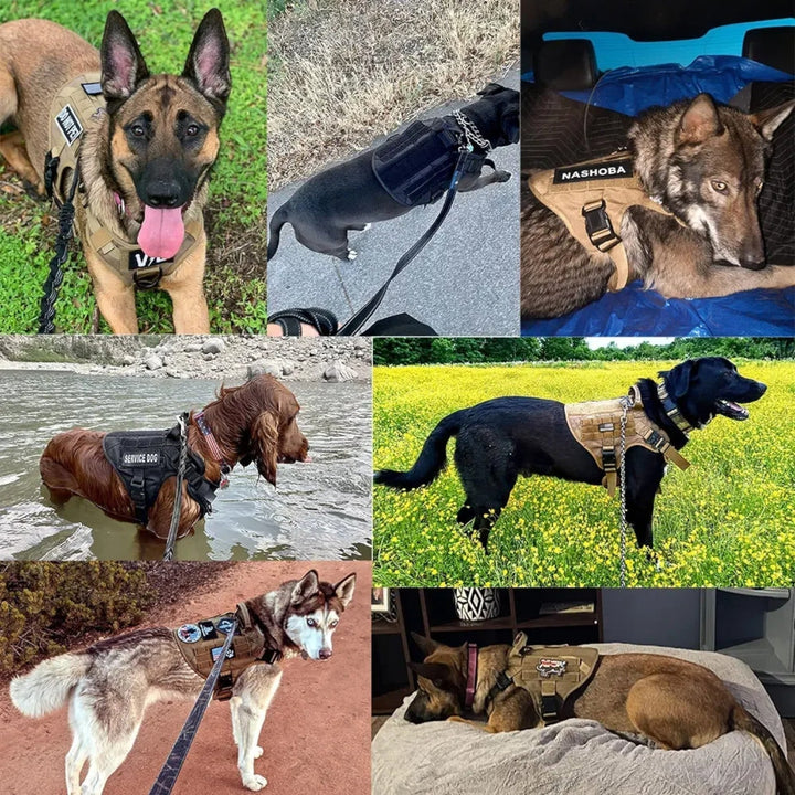 BowLift | KrachtGrip Dog Harness – Adjustable Tactical Harness for Training &amp; Walks