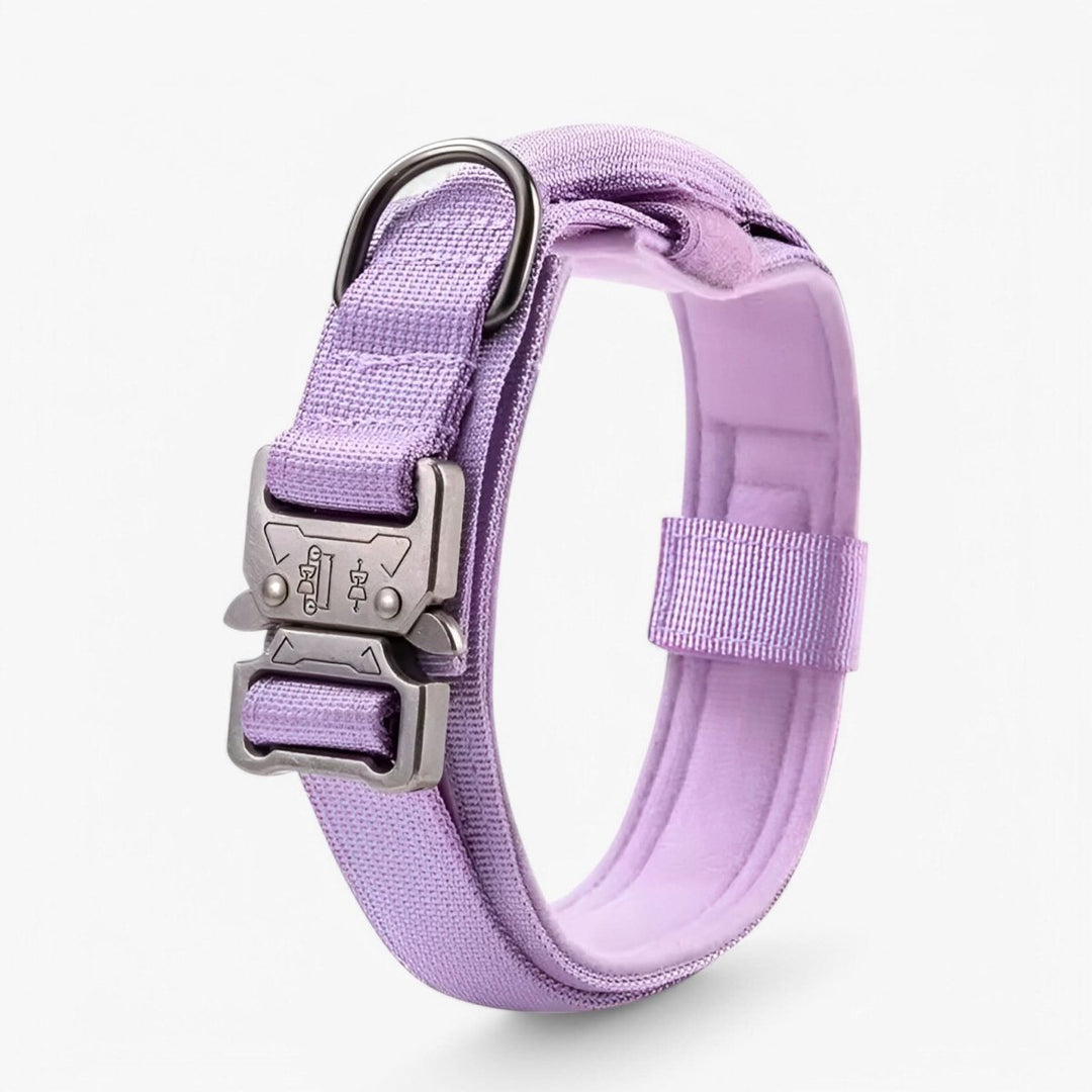 BowLift | Durable &amp; Adjustable Collar for Training &amp; Everyday Use