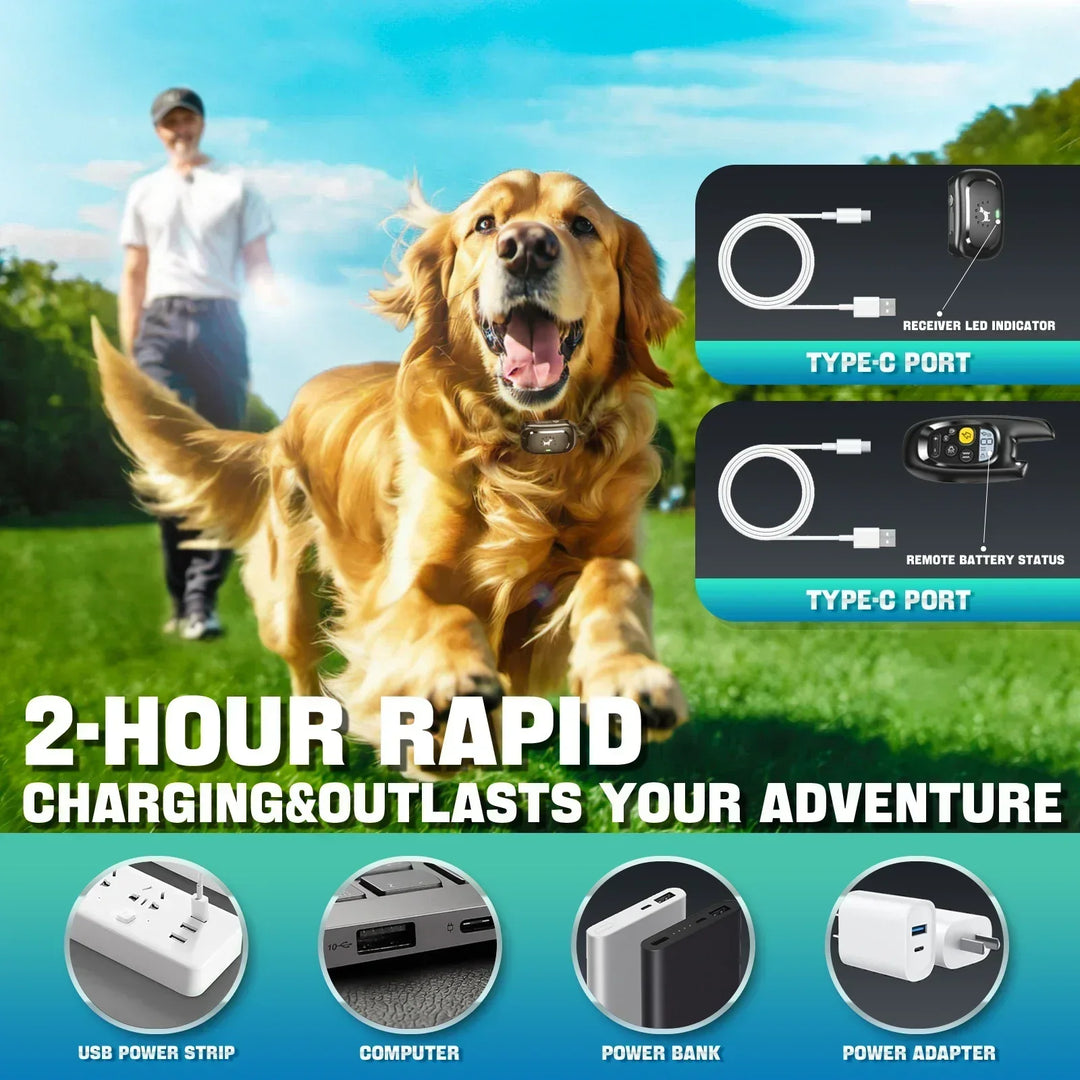 BowLift | Dog Training Collar with Remote – Shock Lock, Sound &amp; Vibration Modes, Waterproof, 1600ft Range
