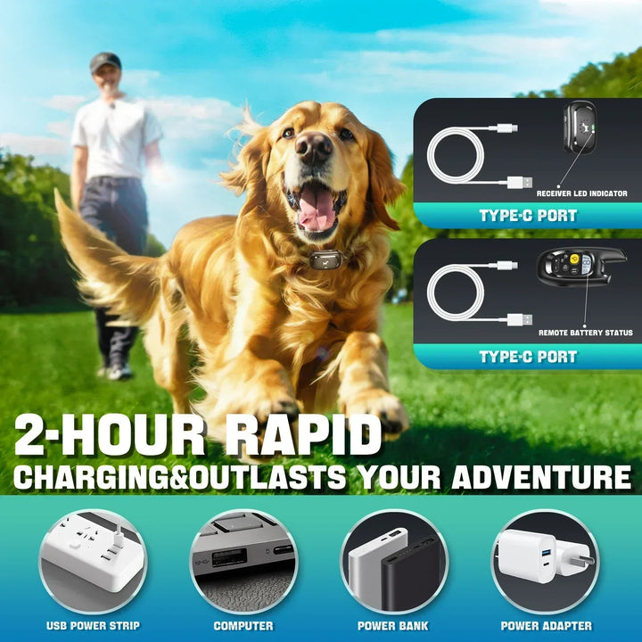 BowLift | Dog Training Collar with Remote – Shock Lock, Sound &amp; Vibration Modes, Waterproof, 1600ft Range