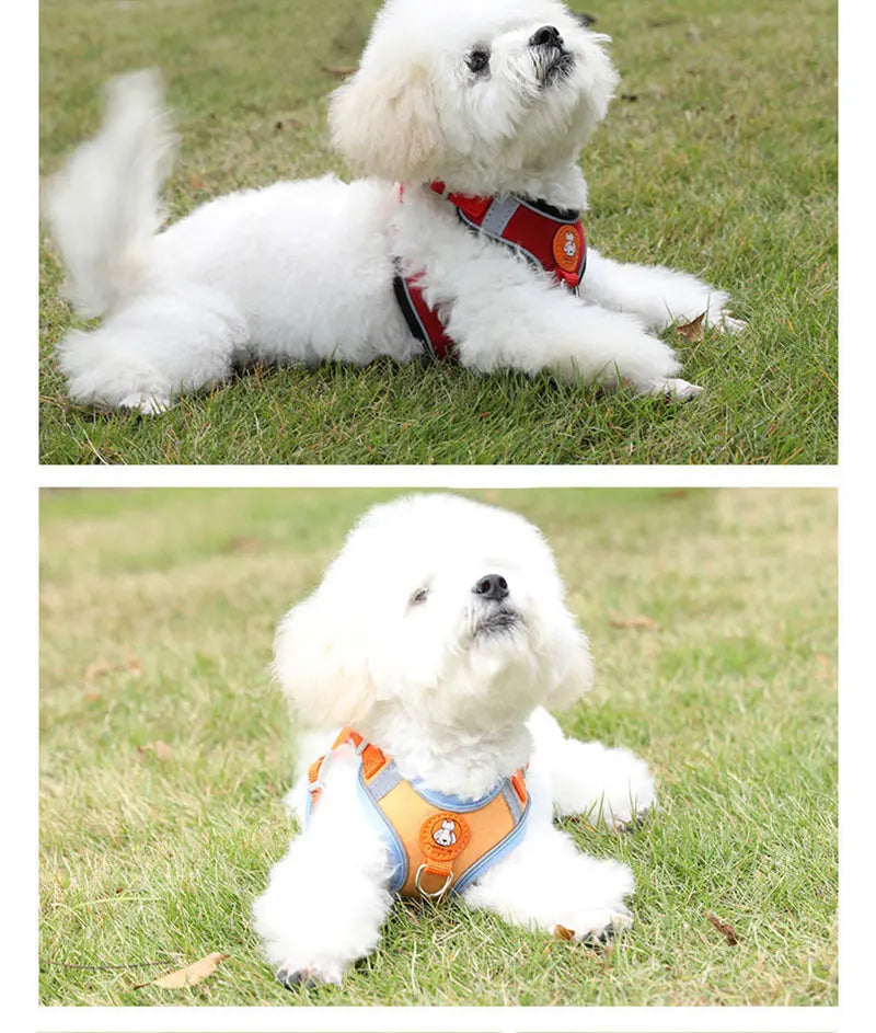 Breathable dog harness adjustable &amp; comfortable Bowlift
