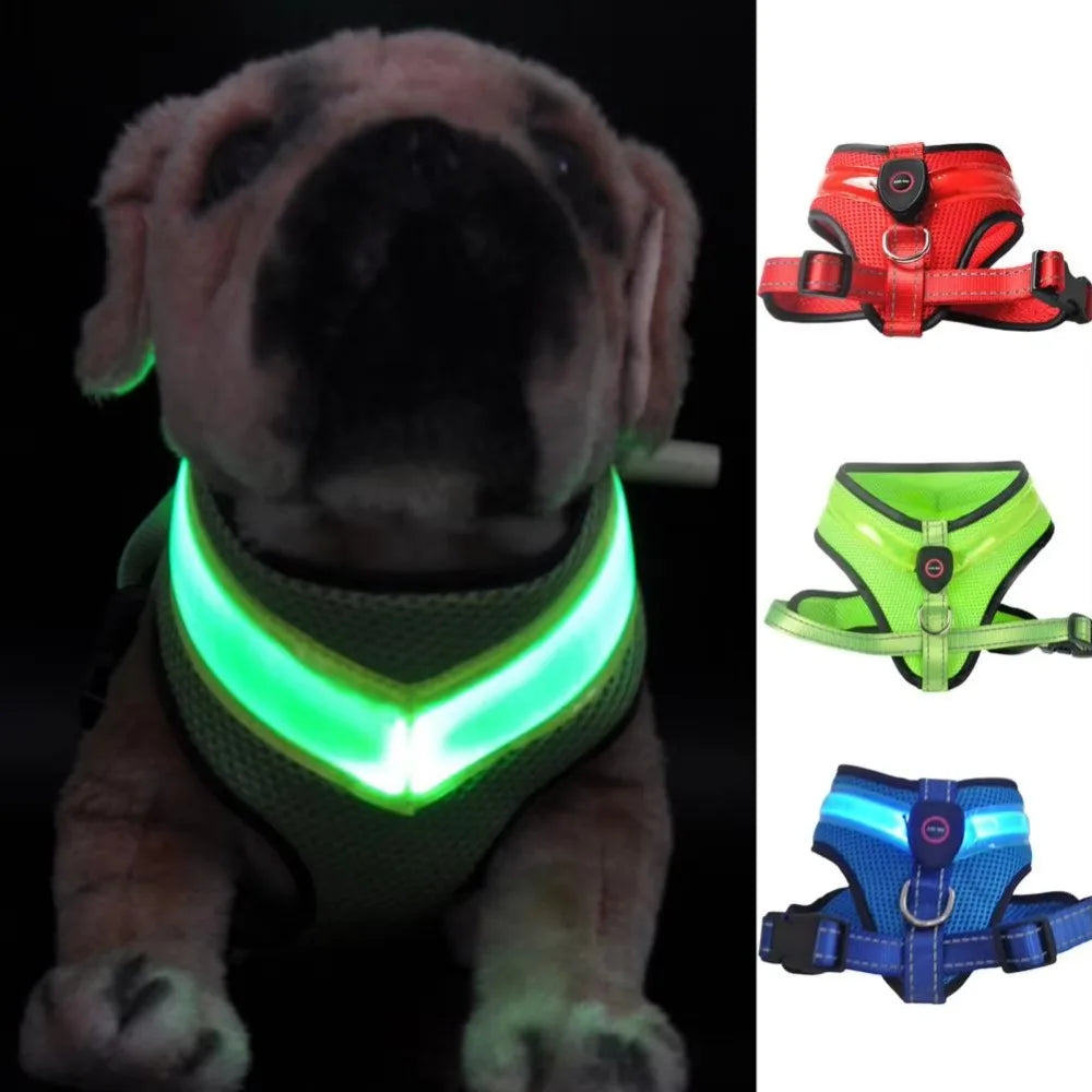 LED Dog Harness USB rechargeable &amp; adjustable Bowlift