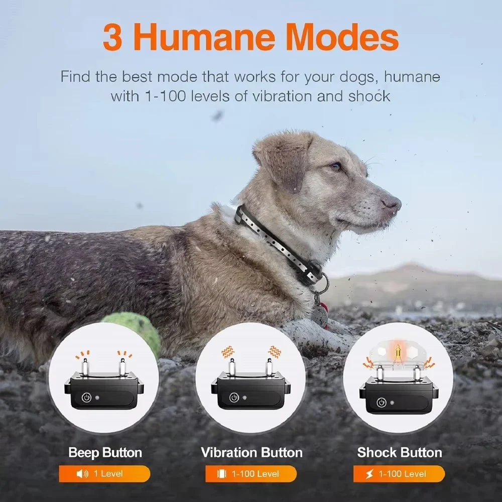Rechargeable Electric Dog Training Collar with Remote &amp; 1000m Range – PetControl Bowlift