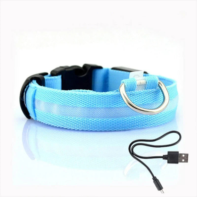 GlowCollar LED – BrightPaws Bowlift