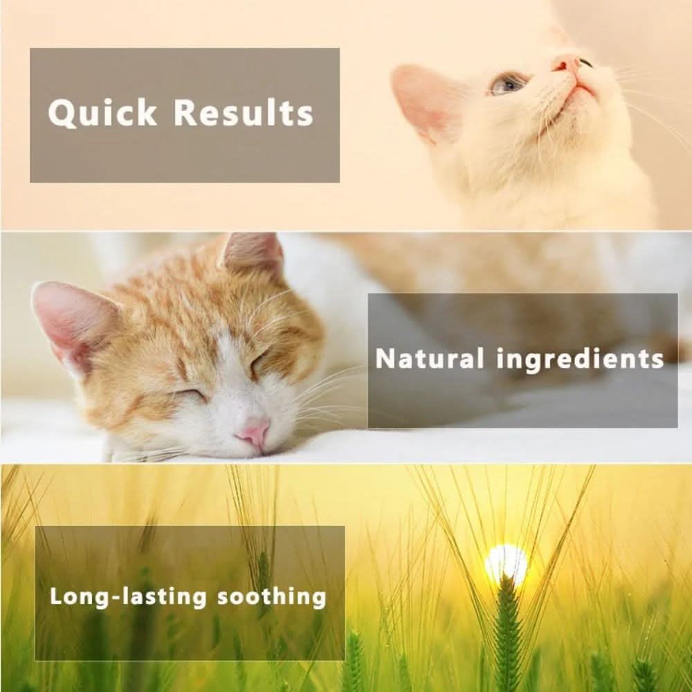 BowLift | Flea &amp; Tick Protection Collar for Dogs &amp; Cats