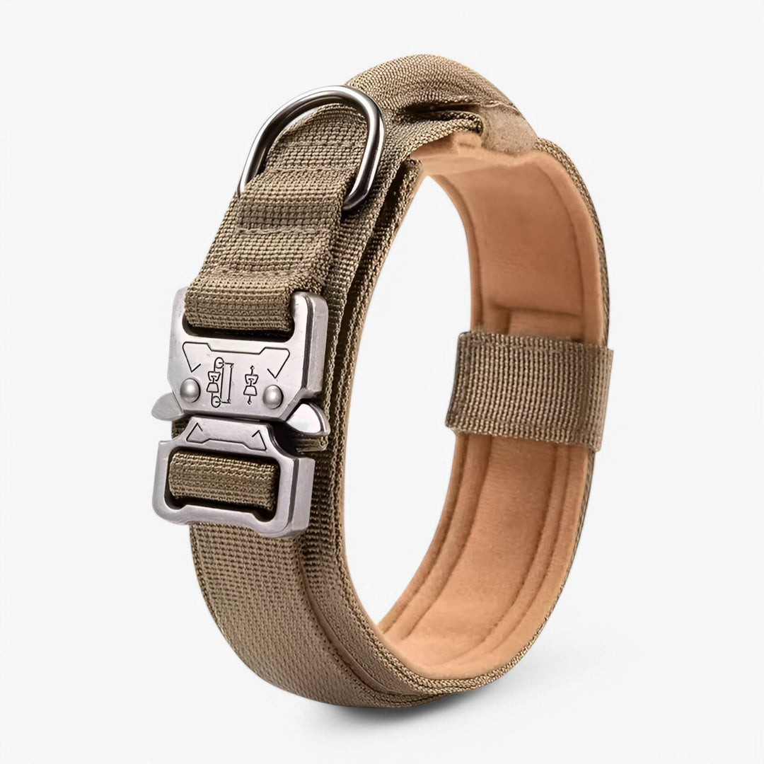 BowLift | OutdoorHeld Dog Collar – For active dogs with endurance