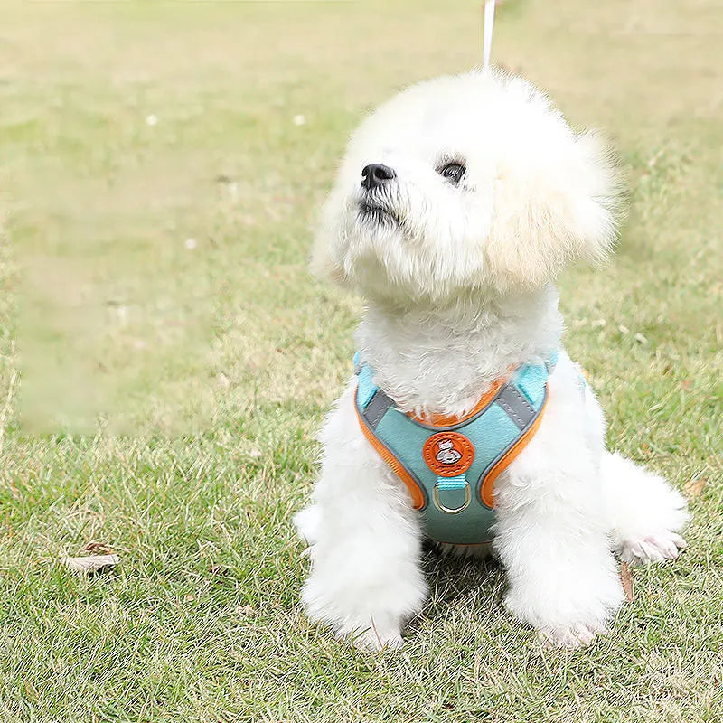 Breathable dog harness adjustable &amp; comfortable Bowlift