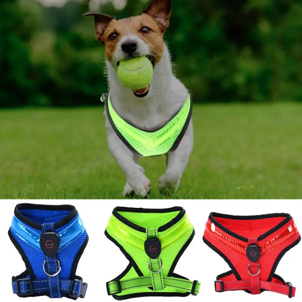 LED Dog Harness USB rechargeable &amp; adjustable Bowlift