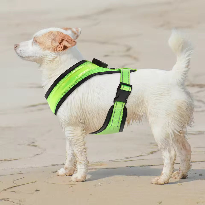 LED Dog Harness USB rechargeable &amp; adjustable Bowlift