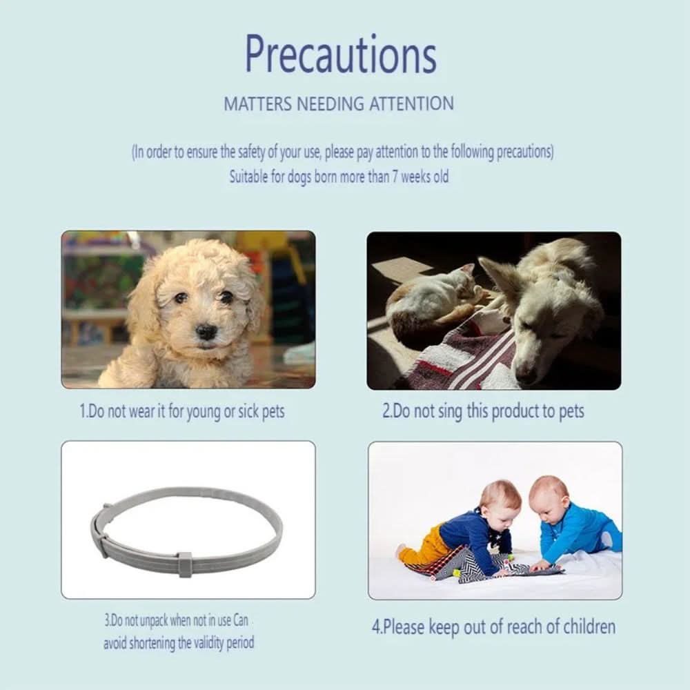 BowLift | Flea &amp; Tick Protection Collar for Dogs &amp; Cats