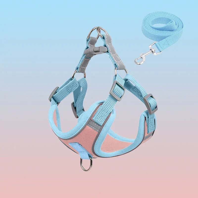 Reflective Puppy Harness – PawSafe Bowlift