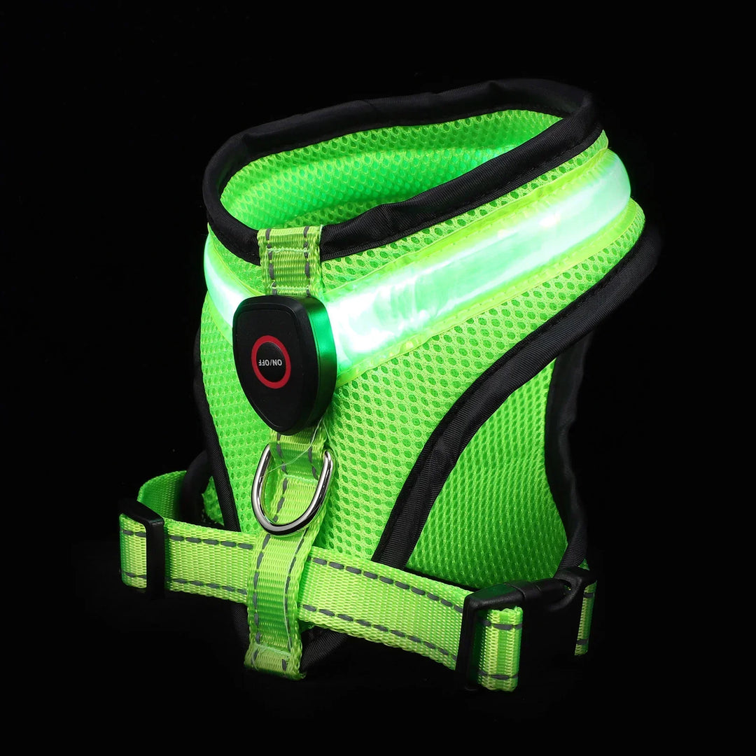 LED Dog Harness USB rechargeable &amp; adjustable Bowlift