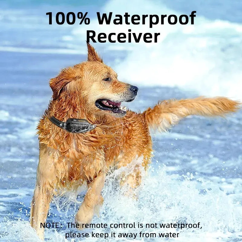 BowLift | ProTrain – Rechargeable Waterproof Dog Training Collar with Remote